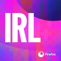 IRL: Online Life is Real Life artwork