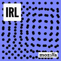 IRL: Online Life is Real Life artwork