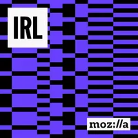 IRL: Online Life is Real Life artwork