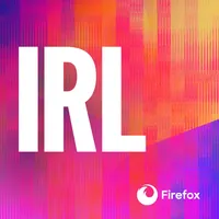 IRL: Online Life is Real Life artwork