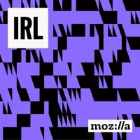 IRL: Online Life is Real Life artwork
