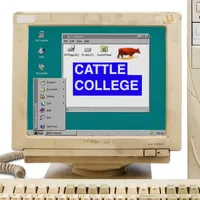 Beef And Dairy Network artwork