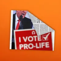 Matter of Opinion artwork