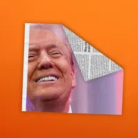 Matter of Opinion artwork