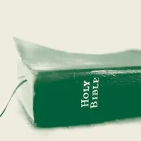 Matter of Opinion artwork