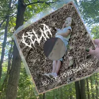 VH US artwork