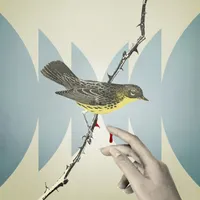 Radiolab artwork