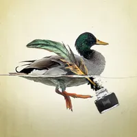 Radiolab artwork