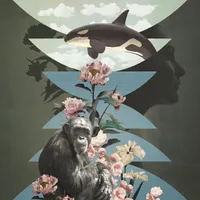 Radiolab artwork