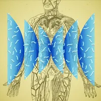 Radiolab artwork