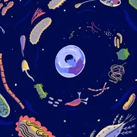 Radiolab artwork
