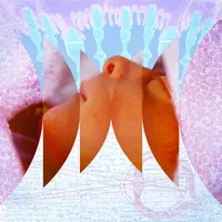 Radiolab artwork
