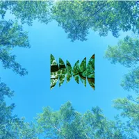 Radiolab artwork