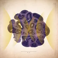 Radiolab artwork