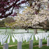 The Brian Lehrer Show artwork