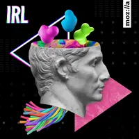 IRL: Online Life is Real Life artwork