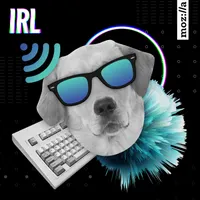 IRL: Online Life is Real Life artwork