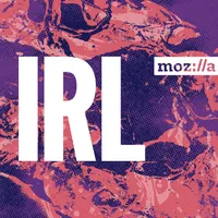 IRL: Online Life is Real Life artwork