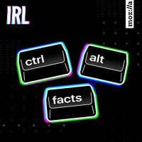 IRL: Online Life is Real Life artwork