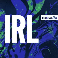 IRL: Online Life is Real Life artwork