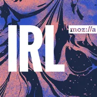 IRL: Online Life is Real Life artwork