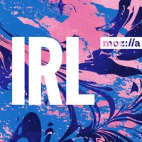 IRL: Online Life is Real Life artwork
