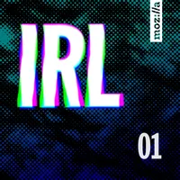 IRL: Online Life is Real Life artwork
