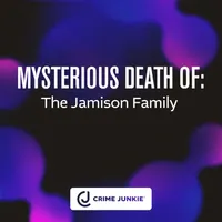 Crime Junkie artwork