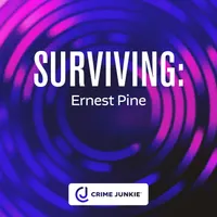 Crime Junkie artwork