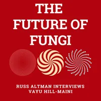 The Future of Everything artwork