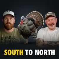Sportsmen's Empire - Turkey Hunting artwork