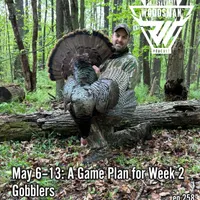 Sportsmen's Empire - Turkey Hunting artwork