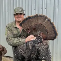 Sportsmen's Empire - Turkey Hunting artwork