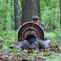Sportsmen's Empire - Turkey Hunting artwork