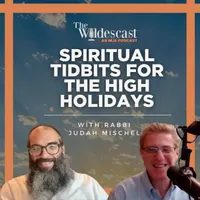 The Jewish Experience artwork