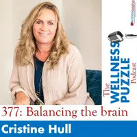 The Wellness Puzzle Podcast artwork