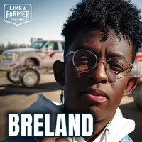 Like a Farmer artwork