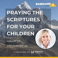 BaseCamp Live artwork