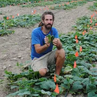 Growing For Market Podcast artwork