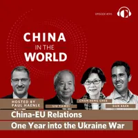 China in the World artwork