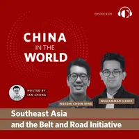 China in the World artwork