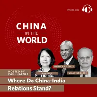 China in the World artwork