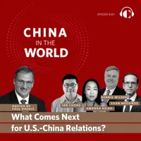 China in the World artwork