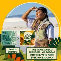 The Trail Ahead artwork