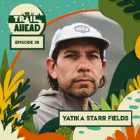 The Trail Ahead artwork