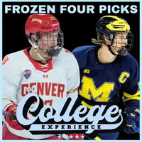 The College Baseball Experience artwork