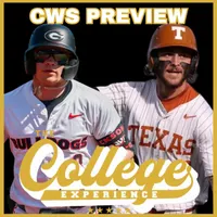 The College Baseball Experience artwork