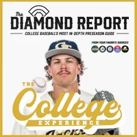 The College Baseball Experience artwork