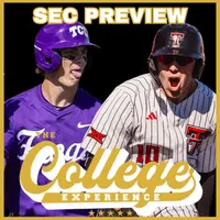 The College Baseball Experience artwork