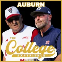 The College Baseball Experience artwork